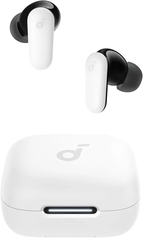 True Wireless Bluetooth Earbuds with Charging Case