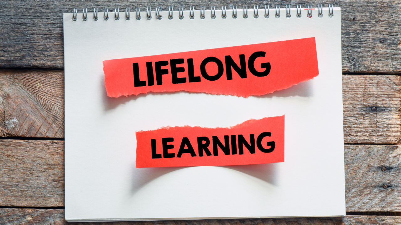 The Role of Curiosity in Lifelong Learning